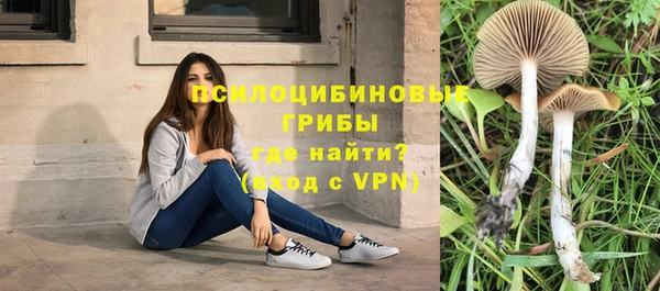 не бодяженный Алзамай