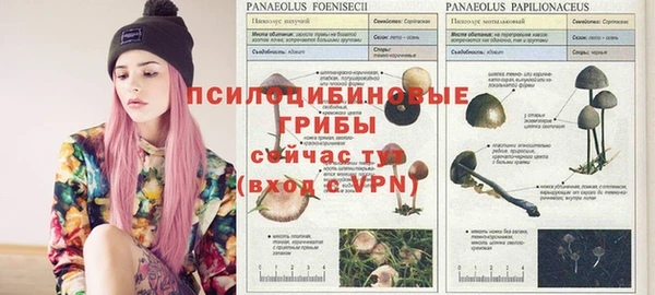 не бодяженный Алзамай